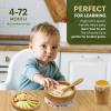 imageNutrichef Baby and Toddler 3 compartment plate bowl cup and spoon feeding set silicon suction Nontoxic all natural Bamboo baby food plate Star Set